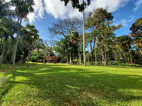 The 10 Best Parks in Honolulu