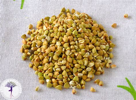 Есть ли глютен в овсяной муке в цельнозерновой муке