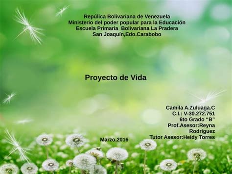 Proyecto De Vida Ppt