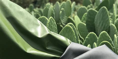 What Is Cactus Leather The Rise Of The Sustainable Vegan Alternative