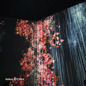 MUSEUM OF SEX Updated May 2025 52 Photos 2200 NW 24th Ave Miami Florida Museums