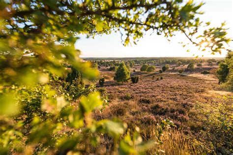 Röders Park Premium Camping Lüneburger Heide Erlebniswelt