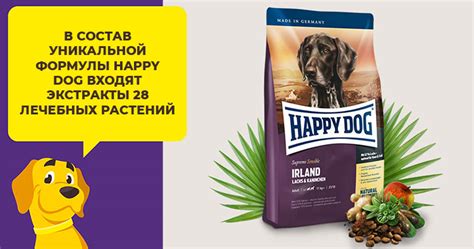 Сухой корм для хаски: список, обзор производителей, отзывы
