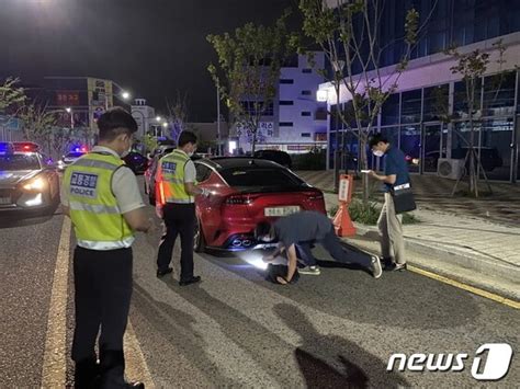 부산 경찰 밤사이 폭주자동차 등 불법행위 집중 단속 4건 적발 뉴스1