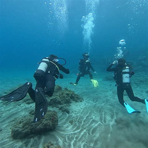 how to become a diving instructor