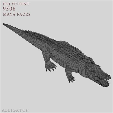 3d realistic alligator