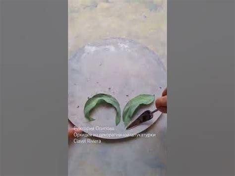 Цветы в технике скульптурная живопись из декоративной штукатурки Clavel ...