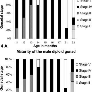 Graphs showing the maturity stages of triploid female and male gonadal ...