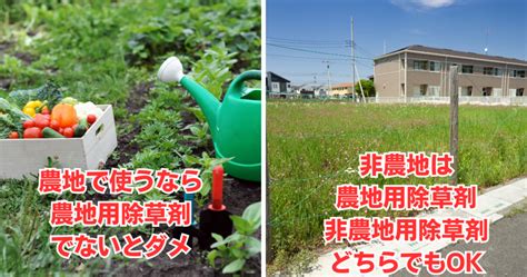 除草剤を撒くのは草を刈ってから？正しい散布の時期やタイミングを解説 Kusakaroo｜くさかるー