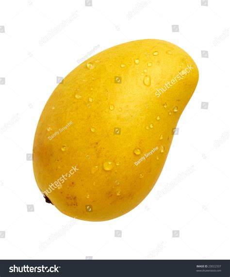 Ataulfo Mango Clipping Path Stock Photo 23022337 | Shutterstock