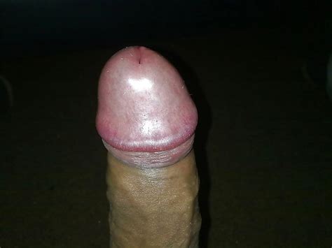 Shemales Mix Porn Pictures XXX Photos Sex Images 270559 PICTOA