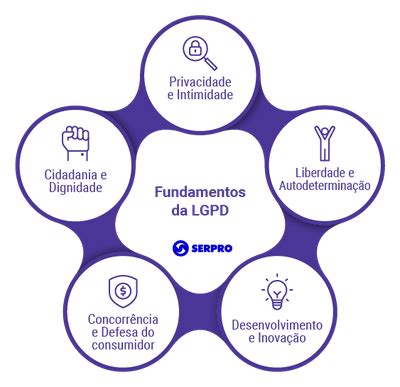 Qual É O Principal Objetivo Da Lgpd - Fundamentos da Lei Geral de Proteção de Dados Pessoais — LGPD - Lei ...