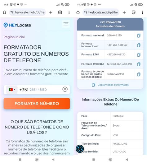 O Telefone Precisa Estar No Formato Xx Xxxxxxxxx - Como colocar o número de telefone no formato correto, tipos e problemas