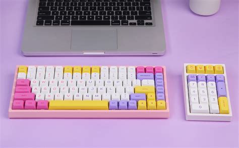 Mua Th Keys Hot Swappable Wired Numpad With Rgb Backlight Programmable Xda Profile Pbt