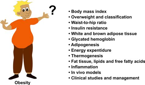Health Diabetes Obesity