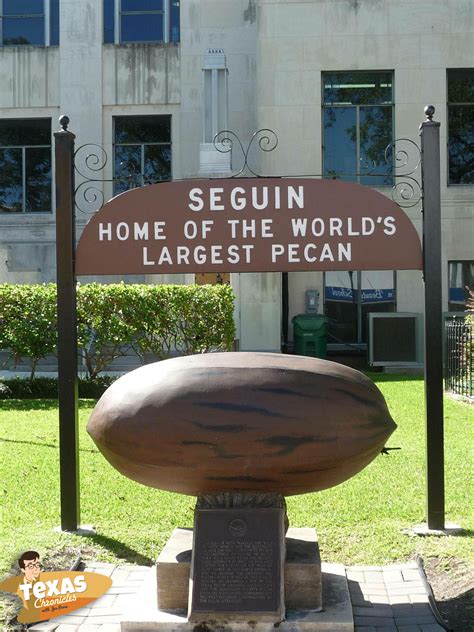 In seguin tx you can find the world's largest pecan statue 6
