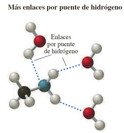 Aminas y Amidas Propiedades Físicas