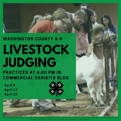 4 H Livestock Judging Practice Washington