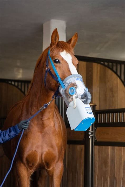 Akku Ultraschall Inhalator für Pferde AirOne Flex Inhalationsgerät ...