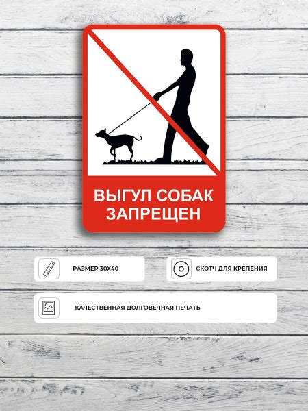 Табличка "Выгул собак запрещен" А3 (40х30см), 40 см, 30 см - купить в ...