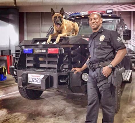 Meet the Hero Dogs of the LAPD K9 Division | News | westsidecurrent.com