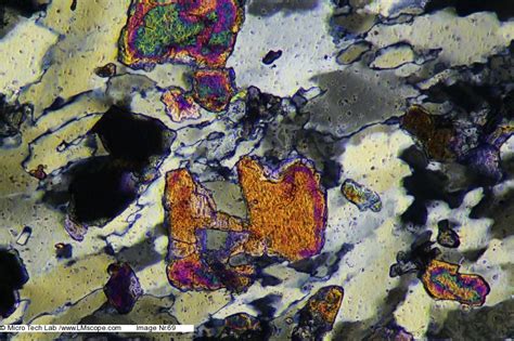 Rock Thin Section Under The Microscope