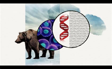 DNA Spells Evolution | PBS LearningMedia