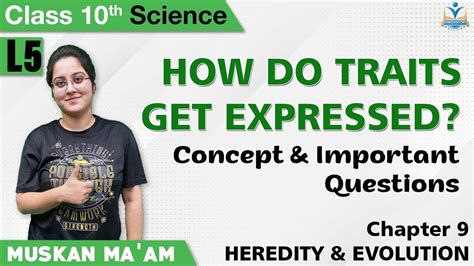 Science Th How Do Traits Get Expressed Ch Heredity