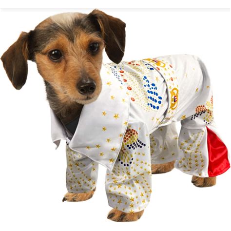 Costume Delvis Presley Pour Animaux Party Expert