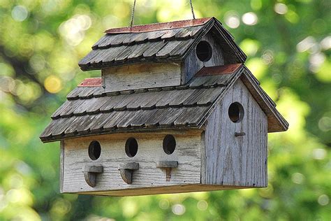 Is Acrylic Paint Safe For Bird Houses at Emmanuel Green blog