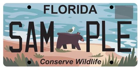 Conserve Wildlife License Plate Design Up For Public Vote