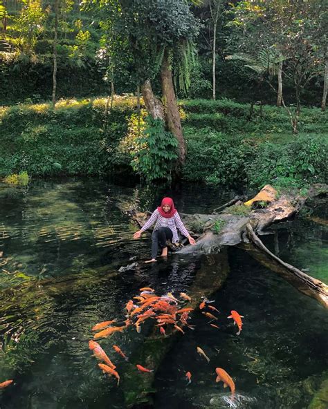 Umbul Mudal Slukatan Sumber Air Yang Jadi Tempat Istirahat Bagi Para