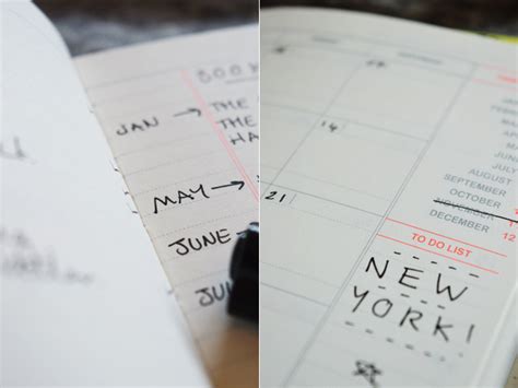 Uncia And Tigris Getting Organised A Diary