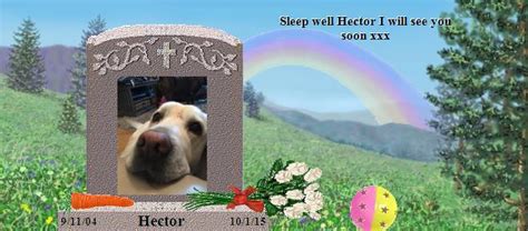 Hector S Rainbow Bridge Pet Loss Memorial