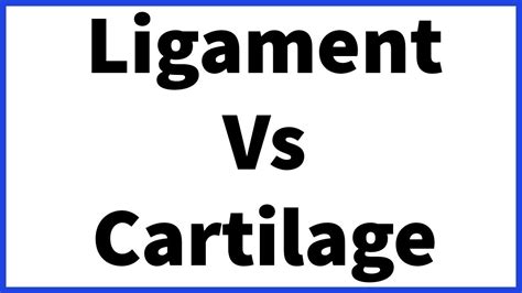 Differences Between Ligament Vs Cartilage - YouTube