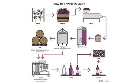 How Red Wine is Made - Vinat Wines – Offline Wine