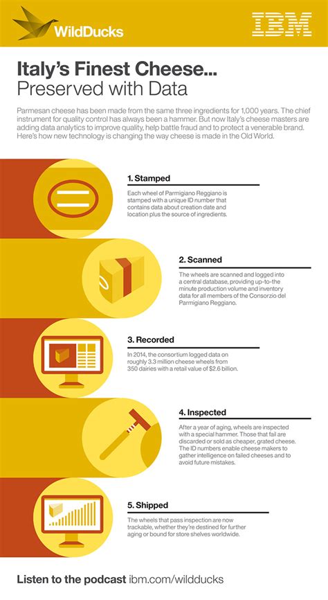 Wild Ducks Business Intelligence Podcast Infographic X