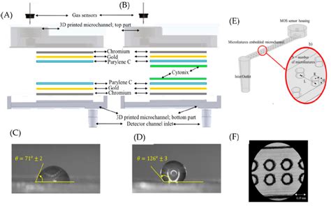 A Schematic Of Microfluidic Channel With Chromium Gold And Parylene