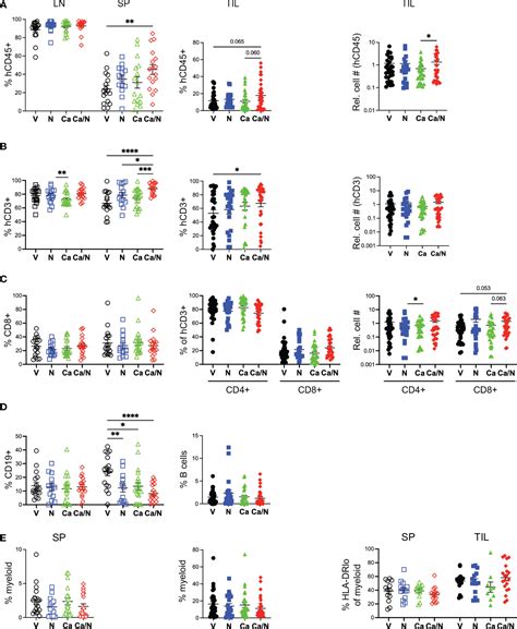 Frontiers Cabozantinib Sensitizes Microsatellite Stable Colorectal