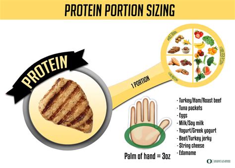 A Visual Guide To Protein Serving Sizes The Kitchn