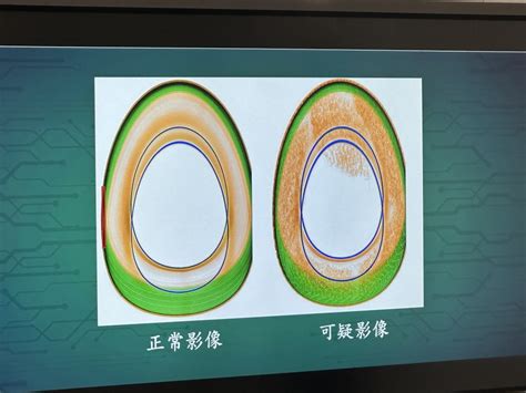 海運加拿大輪胎貨櫃藏毒來港 海關檢值5200萬元大麻花拘3人 星島日報