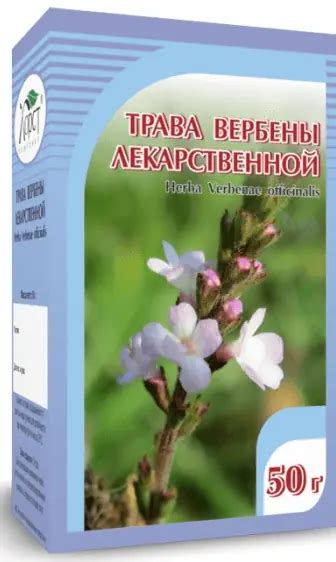 Купить Вербена, трава, 50 г, Хорст | цена отзывы инструкция