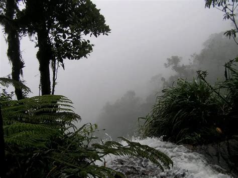 Biotopo Del Quetzal Guatemala Gt