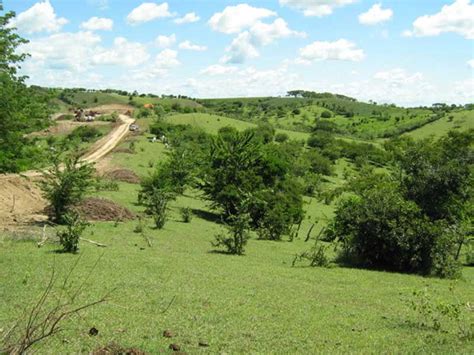 Construcción y adecuación de vías en Colombia Obras civiles