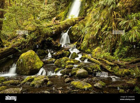 Wa22223 00washington Merriman Falls On Merriman Creek In The