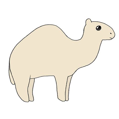 How To Draw An Easy Camel Easy Drawing Tutorial For Kids
