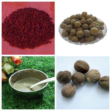 সিক্রেট ড্যানড্রাফ | paikarighor