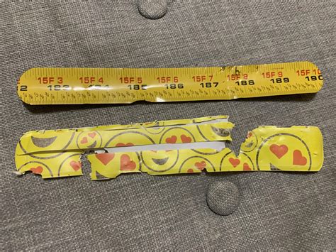 Dog chewed up a slap bracelet to reveal a piece of measuring tape. : r