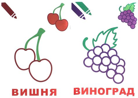 Первые рисунки раскраска с цветным контуром (ФОТО) - detskieru.ru