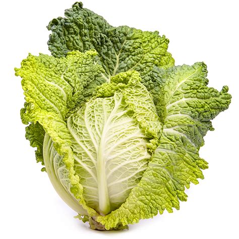 Свежая капуста савойская - купить в Москве по цене 125 Р за 1 кг. на ...
